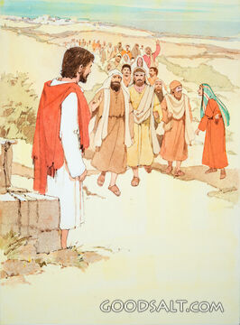 The People Swarm to Jesus
