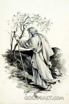 The Prophet