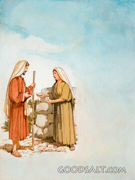The Prophet and the Widow