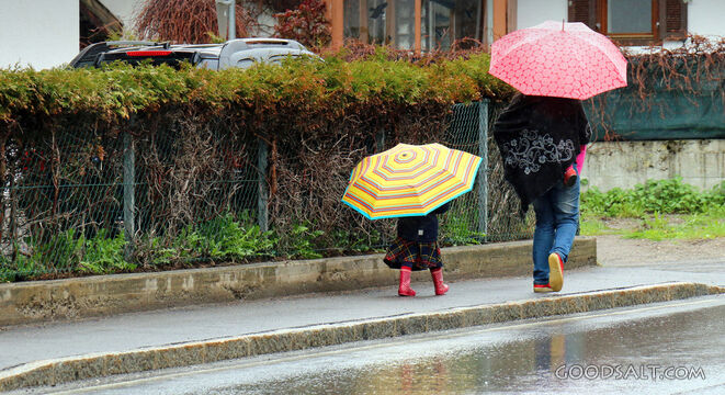 The Rain