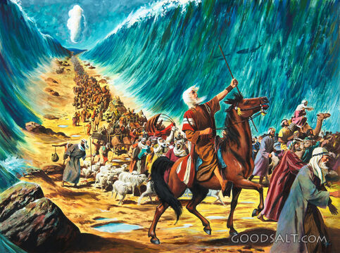 The Red Sea Parts