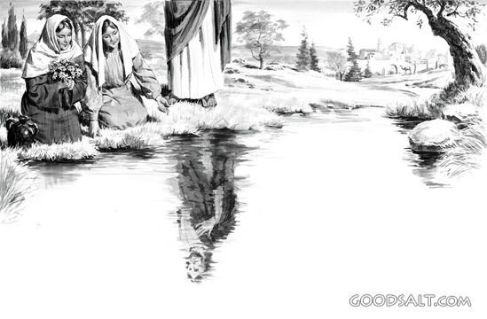 The Reflection of Christ