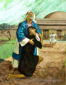 The Return of the Son