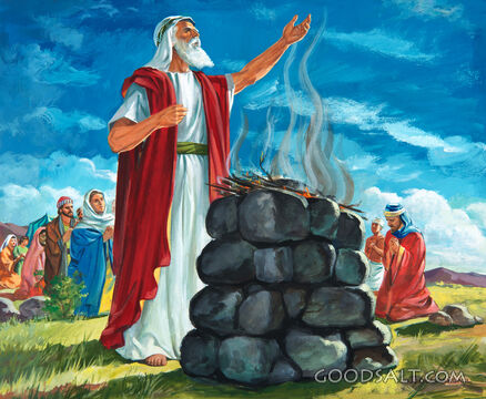The Sacrificial Offering