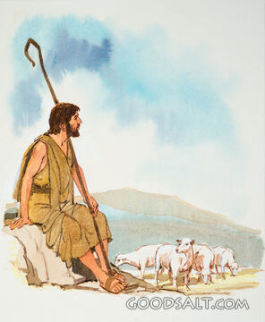 The Shepherd