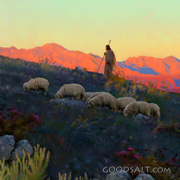 The Shepherd