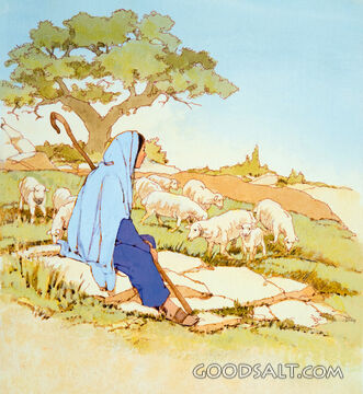 The Shepherdess