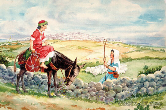 The Shepherdess