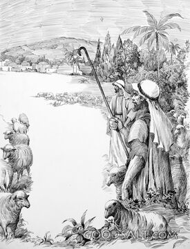 The Shepherds