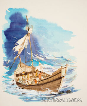 The SHip