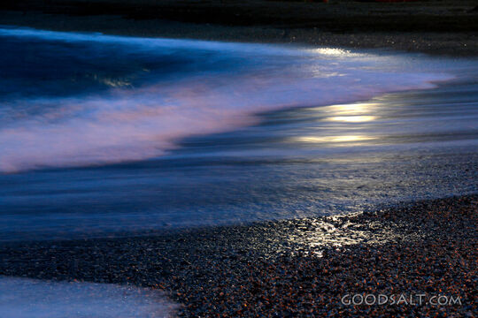 The SHore