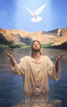The Spirit Descends Upon Jesus