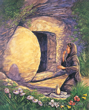 The Stone Had Been Removed