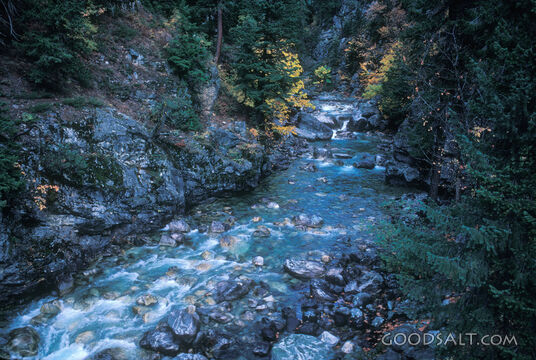 The Stream