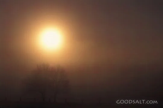 The Sun With Fog