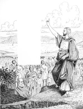The Teacher