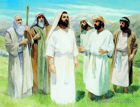 The Transfiguration