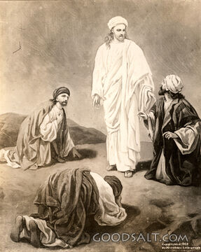 The Transfiguration