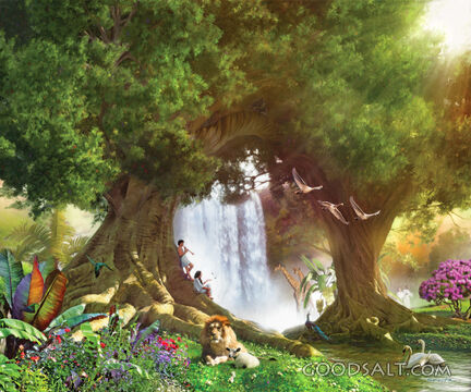 The Tree of Life