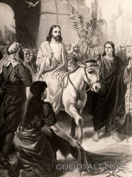 The Triumphal Entry