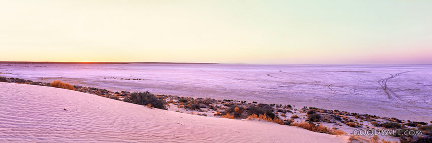 The vast stretch of horizon and yellow sky