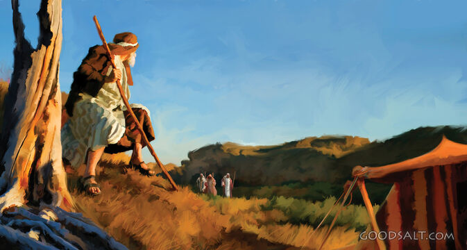 The Visitors