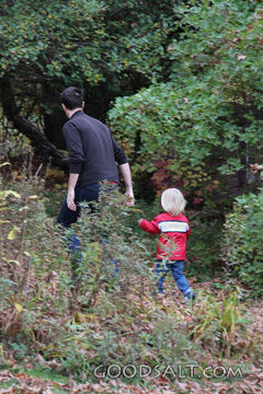 The Walk