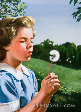 The Wish