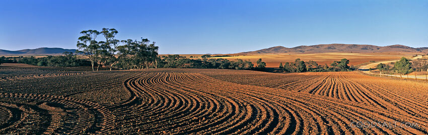 Tilled Earth