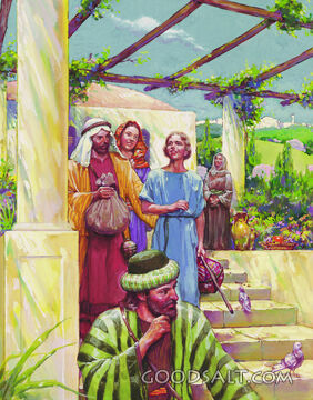 Timothy and Paul