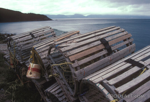 Fishing Traps Beside the Sea