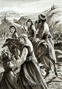 Traveling the Road to Jerusalem