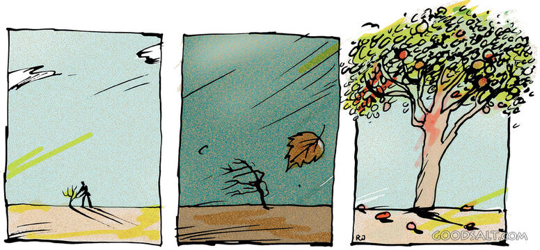 Tree Growing