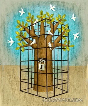 Tree in Cage With Doves