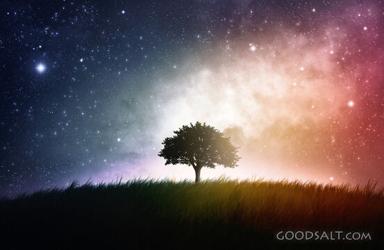 Tree With Space Background