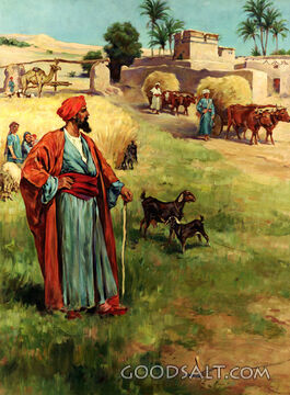 Trusting in Riches