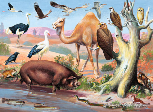 Unclean Animals That Are not Safe to Eat