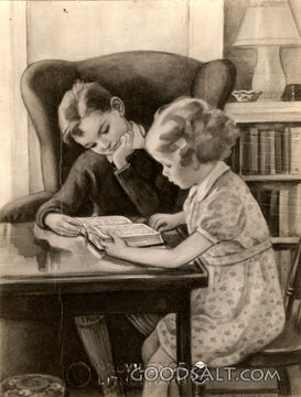Using Our Bibles