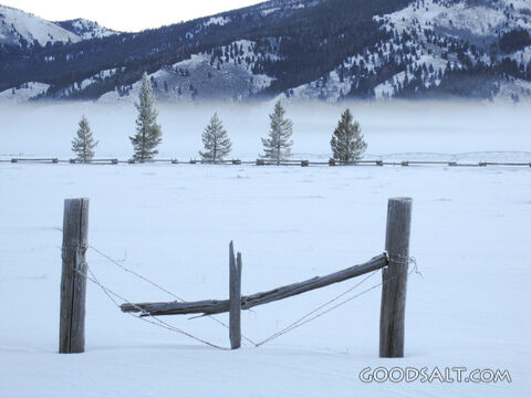 Valley of Snow