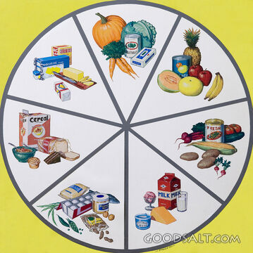 Vintage Food Groups