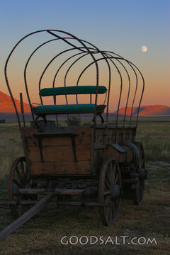 Wagon