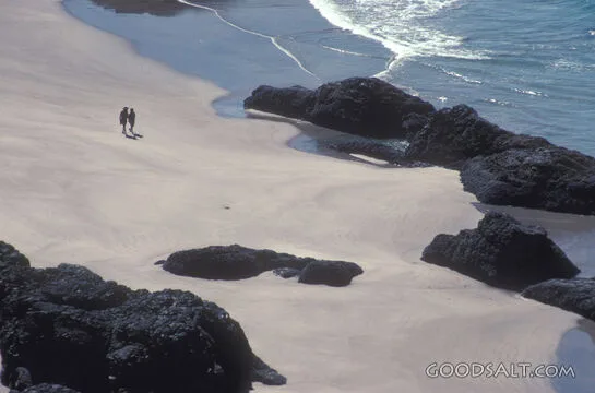 Companions on the Shore