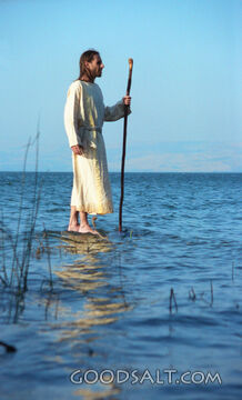 Walked on Water