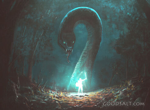 Warrior of Light and Dark Monster