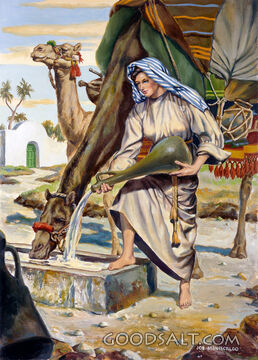 Water for Ther Camels