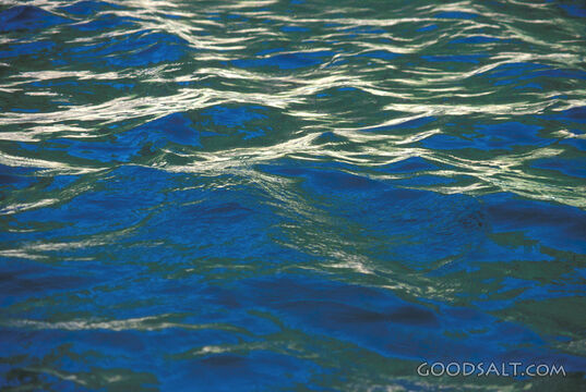 Waters