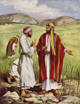 Wheat and Tares