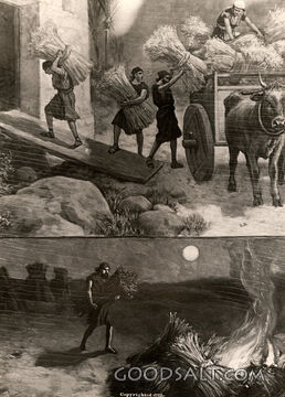 Wheat and the Tares