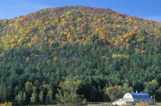 White Barn Infront of Hill Covered in Changing Trees