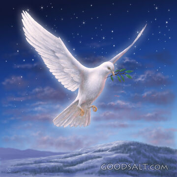 White Dove With Snowy Hills B